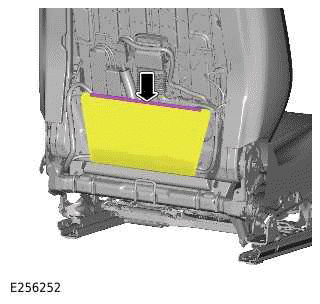 Side Airbag Module